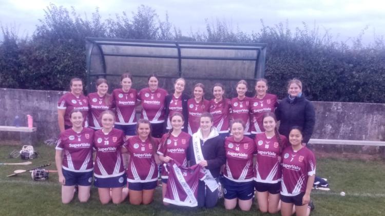 Rose Of Tralee-turned-Dancing Queen hails Kilkenny camogie roots