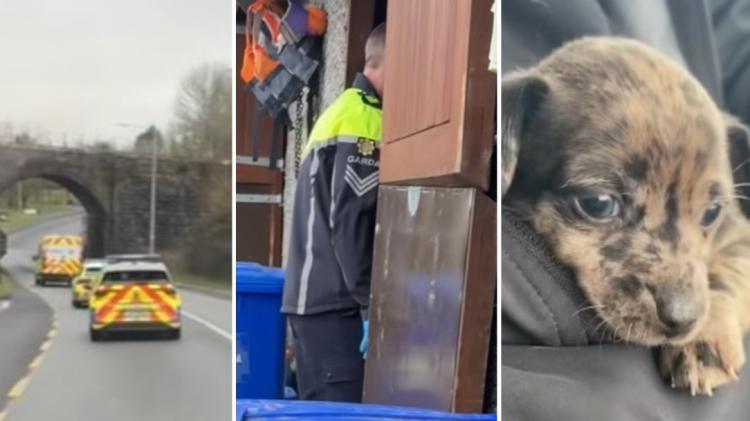 'Heartbreaking' - Huge reaction to Kilkenny garda-led operation