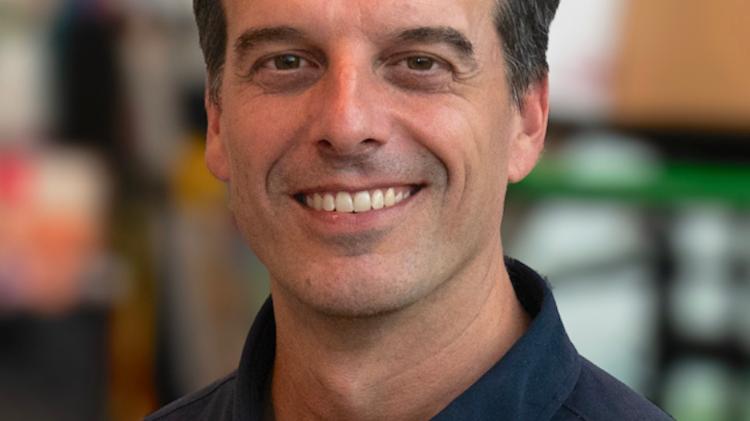 Top producer named as new CEO of Kilkenny's Cartoon Saloon