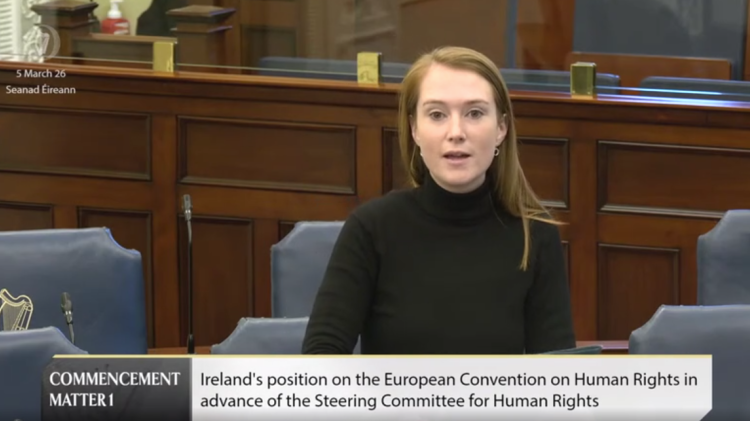 &lsquo;Insidious shift&rsquo;: Kilkenny Senator calls for answers on Government&rsquo;s human rights position