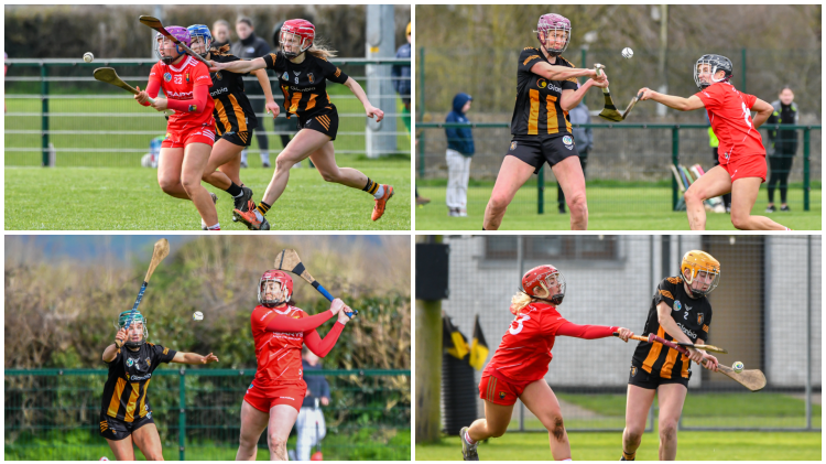 PICTURES: Kilkenny and Cork scrap for crucial camogie league points