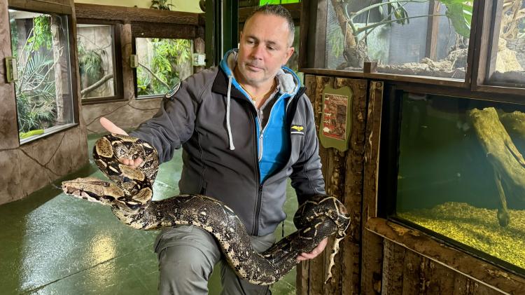 Kilkenny reptile expert warns over &lsquo;surprising&rsquo; lack of regulation on exotic pets