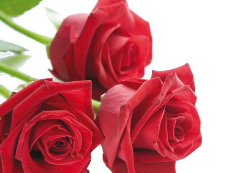 Kilkenny Cards For Memorial Cards that are a fitting tribute to your