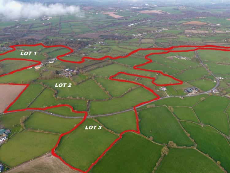 BREAKING Magnificent Kilkenny farm to be sold at auction Kilkenny