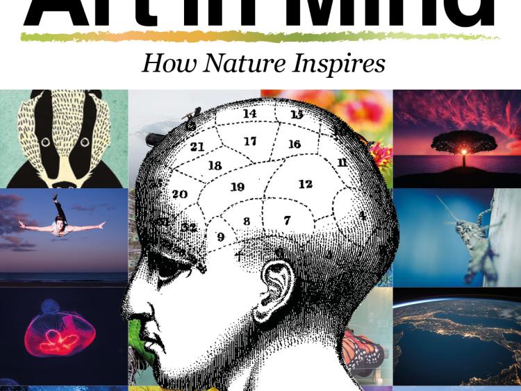 Can art influence our mental state? - Kilkenny People