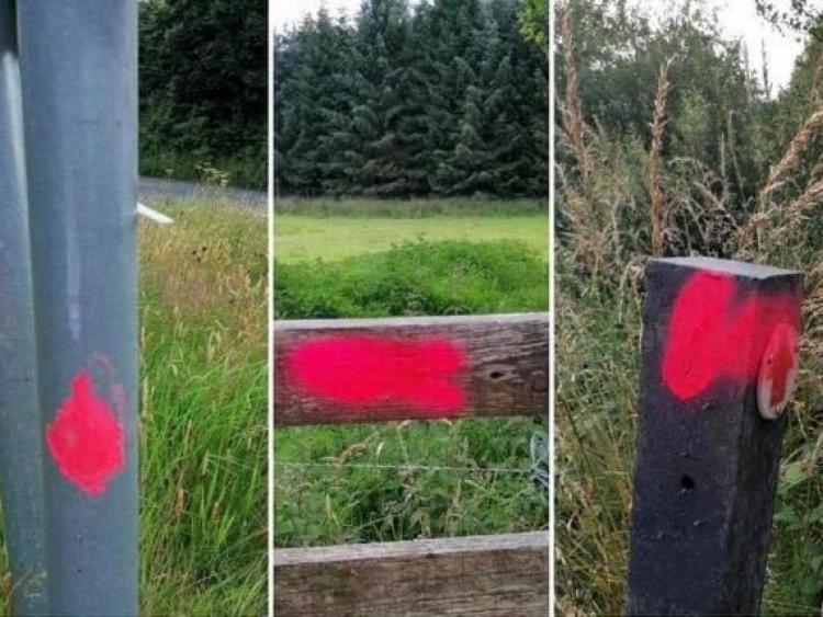 Beware of markings which identify properties for burglars or dog