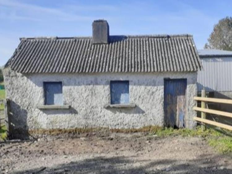 Rural hideaway! Derelict cottage on 7 acres going cheap Kilkenny People