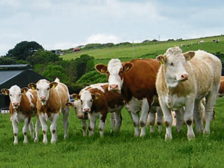 Kilkenny farm walk with Pat Dillon, Grangecuffe and Teagasc Kilkenny
