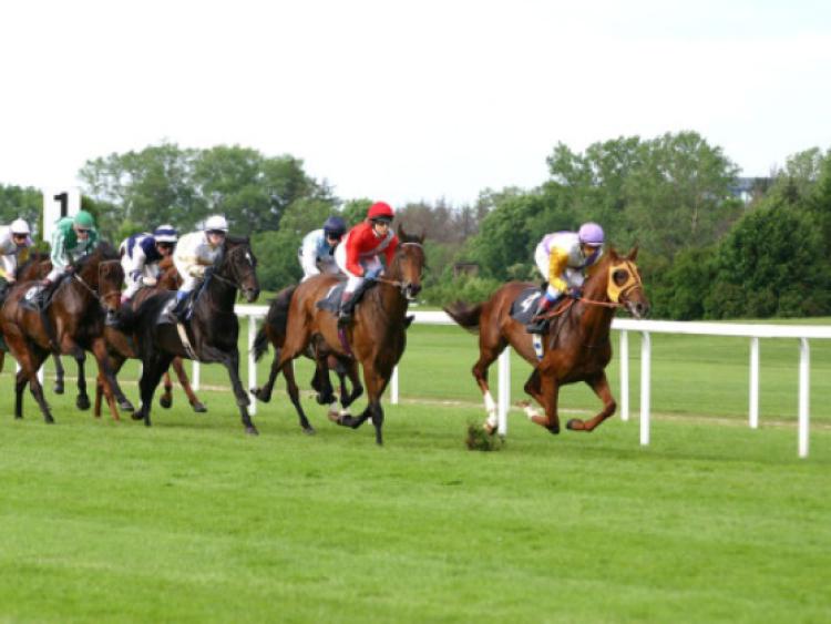 Great weekend for Kilkenny horses Kilkenny People