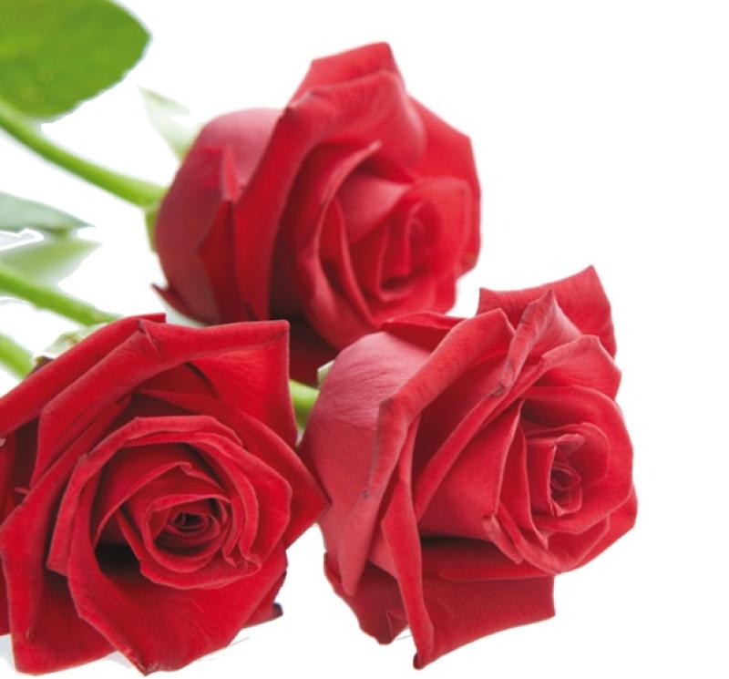 Kilkenny Cards:  For Memorial Cards that are a final and lasting tribute to your loved one