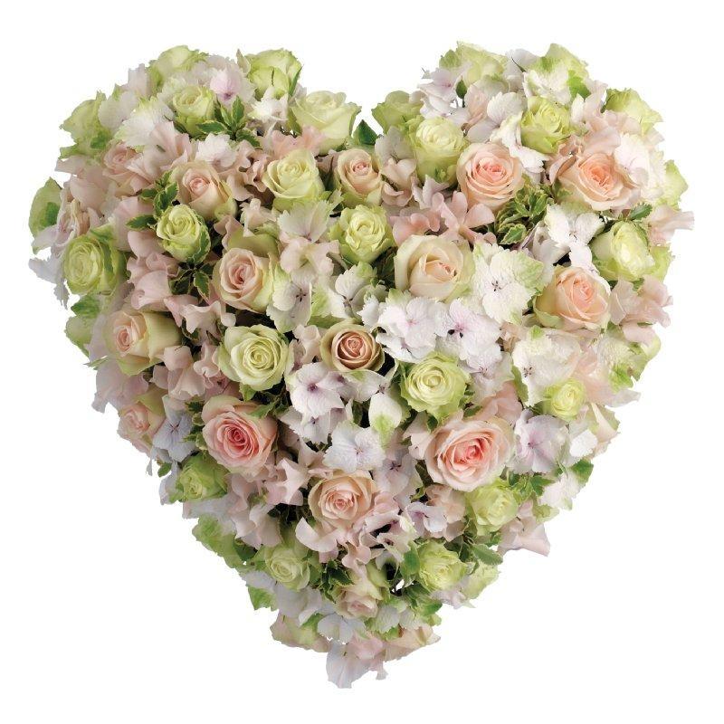 Forget Me Not Florists: Beautiful floral tributes for every occasion