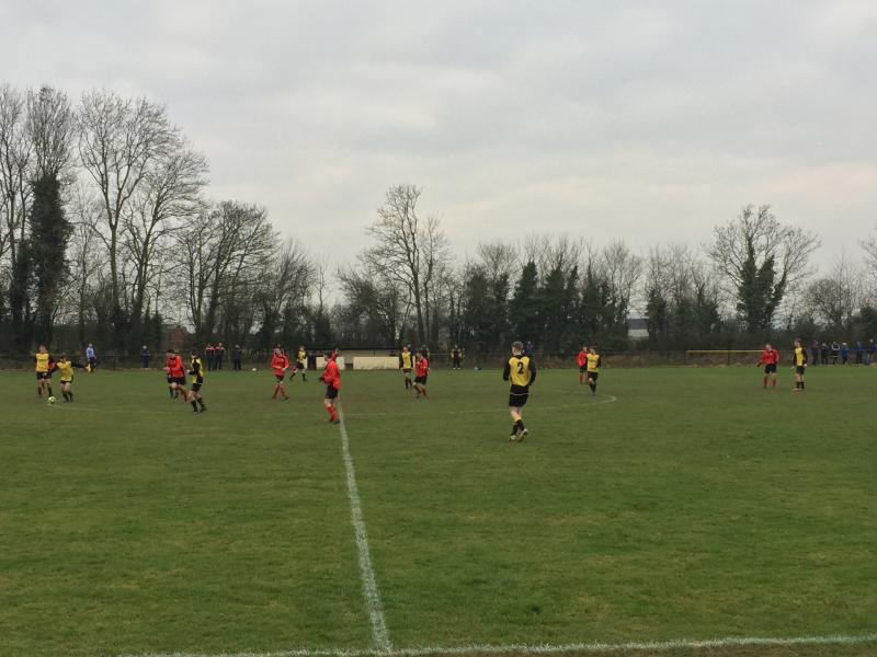 Young Cats show claws against Carlow