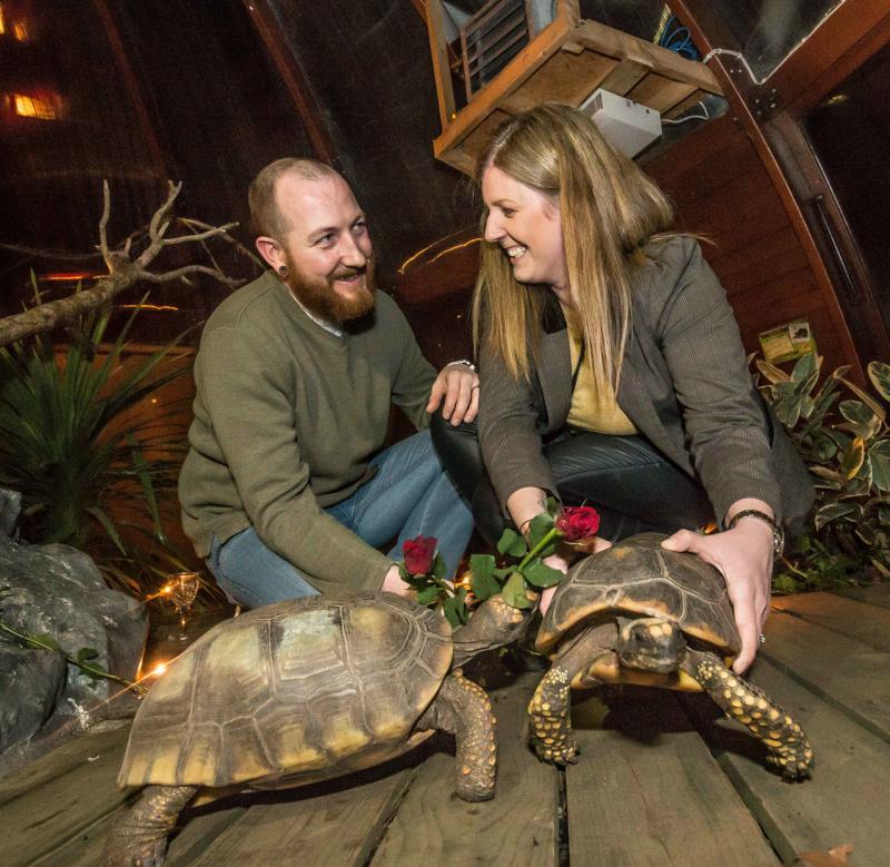 Special couple celebrate 5 year wedding anniversary 