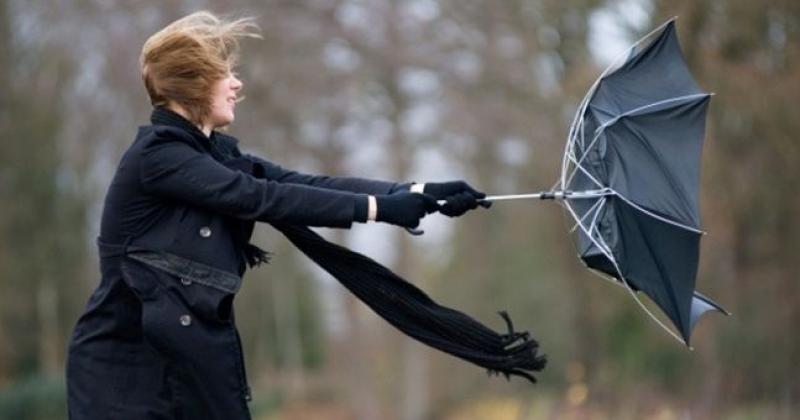 ALERT: 'Very strong and gusty winds' expected as warning is issued for Kilkenny
