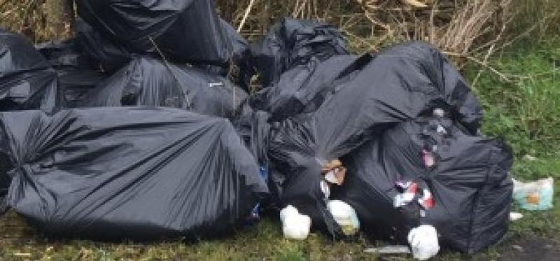 ICYMI: Kilkenny clean-up team make 'nauseating' including a lady's dress and underwear 