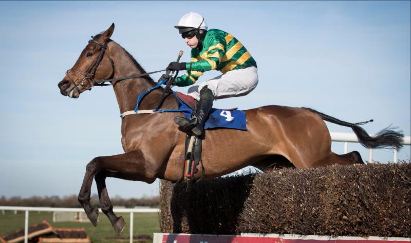 HorseThurles