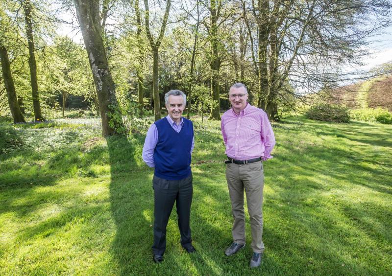 Giant of racing still working miracles in magical Kilcullen