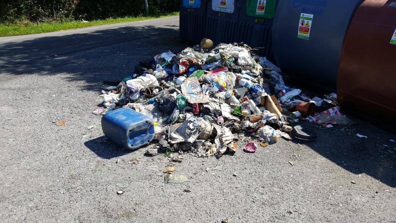 A dumping spree in Co Kilkenny causes community rage 