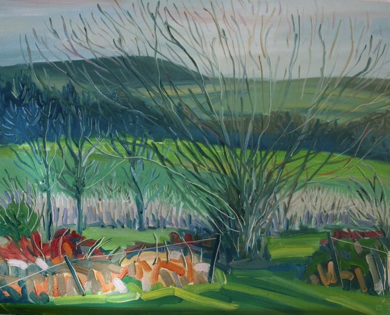 The beauty of West Cork recorded