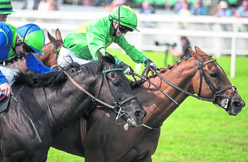 RACING ROUND-UP: Kilkenny influence strong in busy week of horse racing