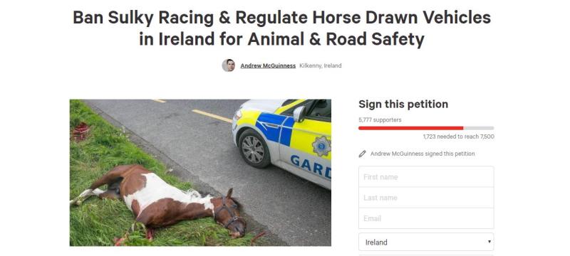 Horses and sulkies
