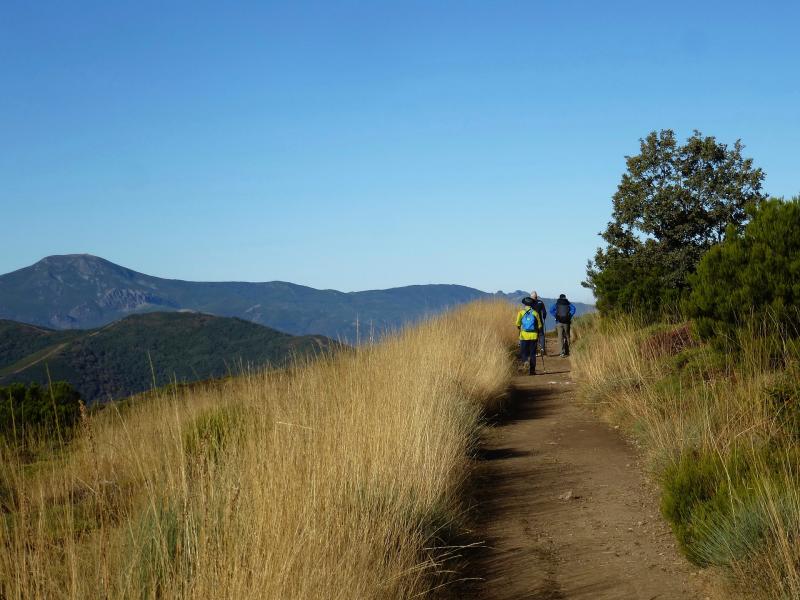 Camino