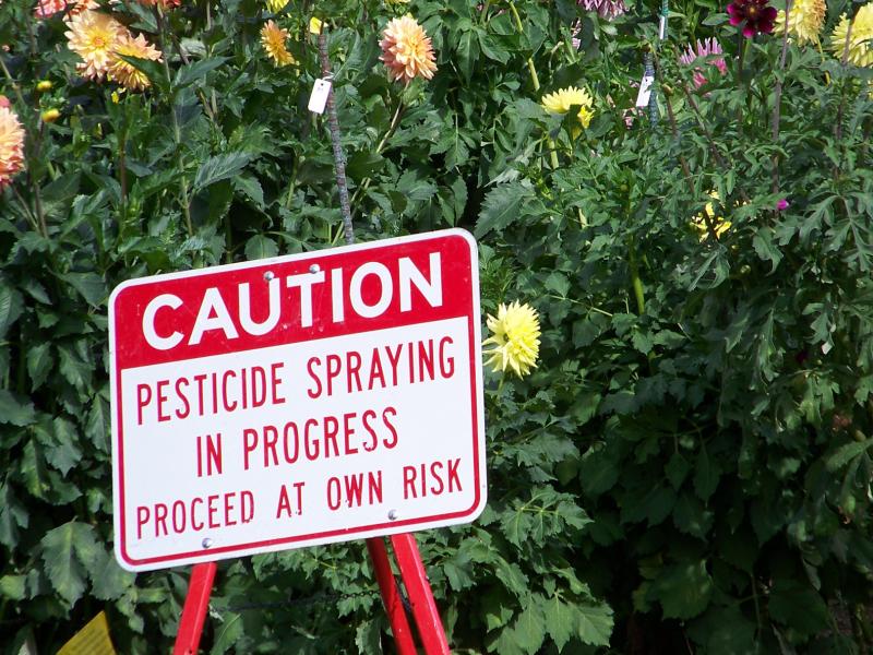 Councillor ‘not happy’ with new weedkiller as it still contains glyphosate 