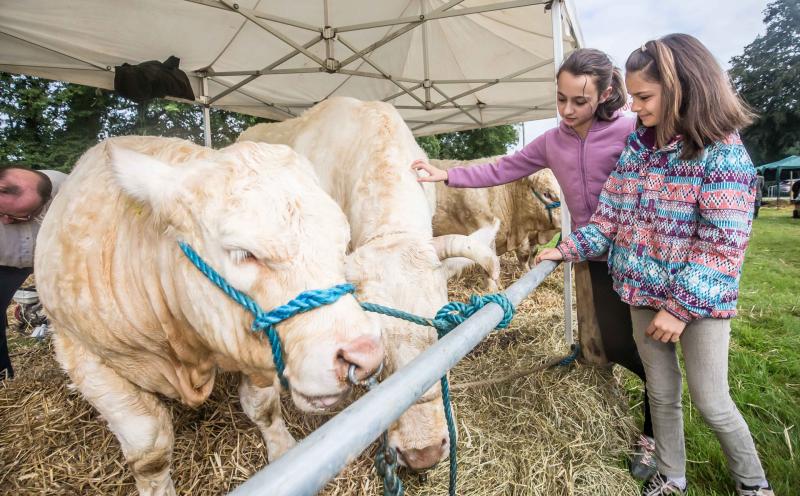 Piltown Show