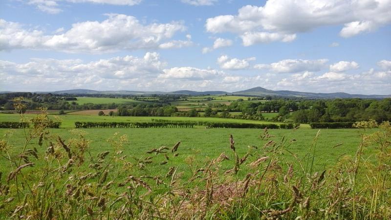 Field names project