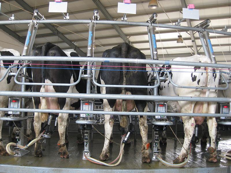 National Ploughing Championships