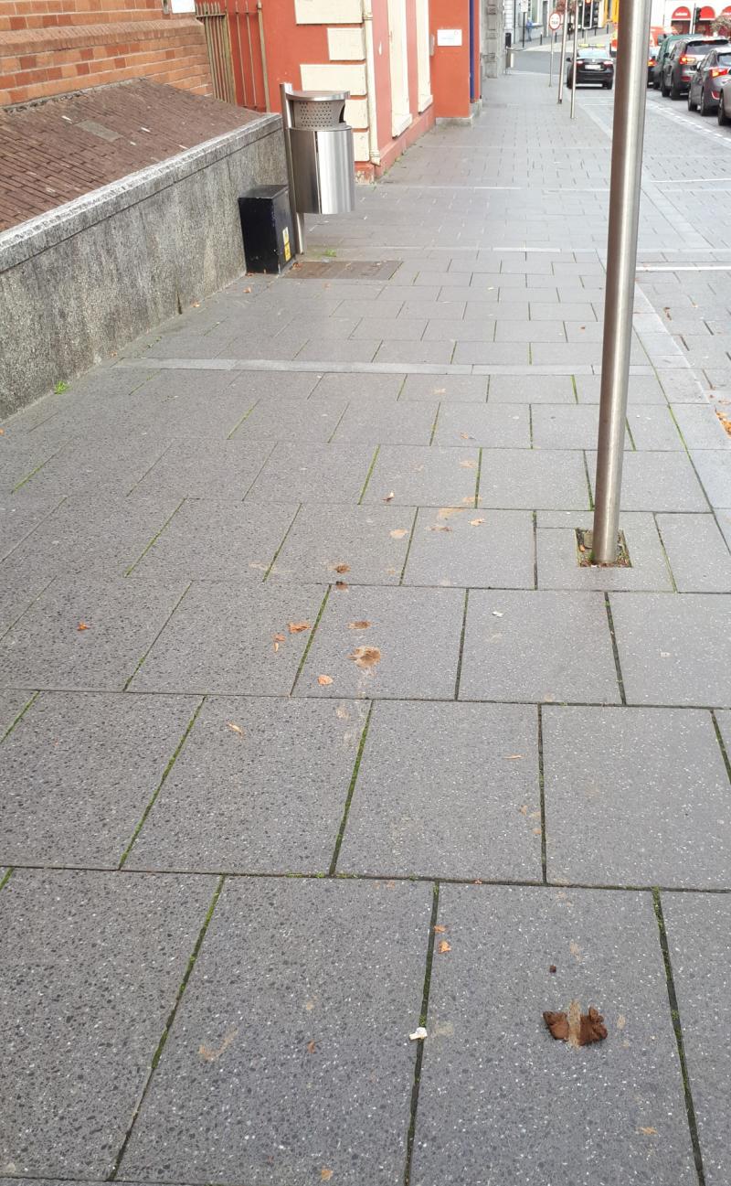 Revealed: Zero dog fouling fines issued in Kilkenny last year