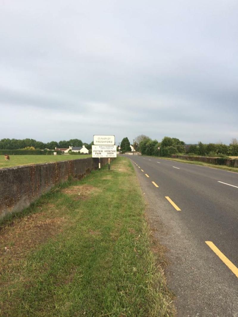 Kilkenny town's road margin to be revamped 