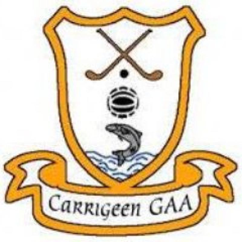 Garden equipment stolen during burglary at Carrigeen GAA Club