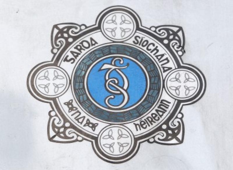 Kilkenny Breaking - Garda warning after car stolen