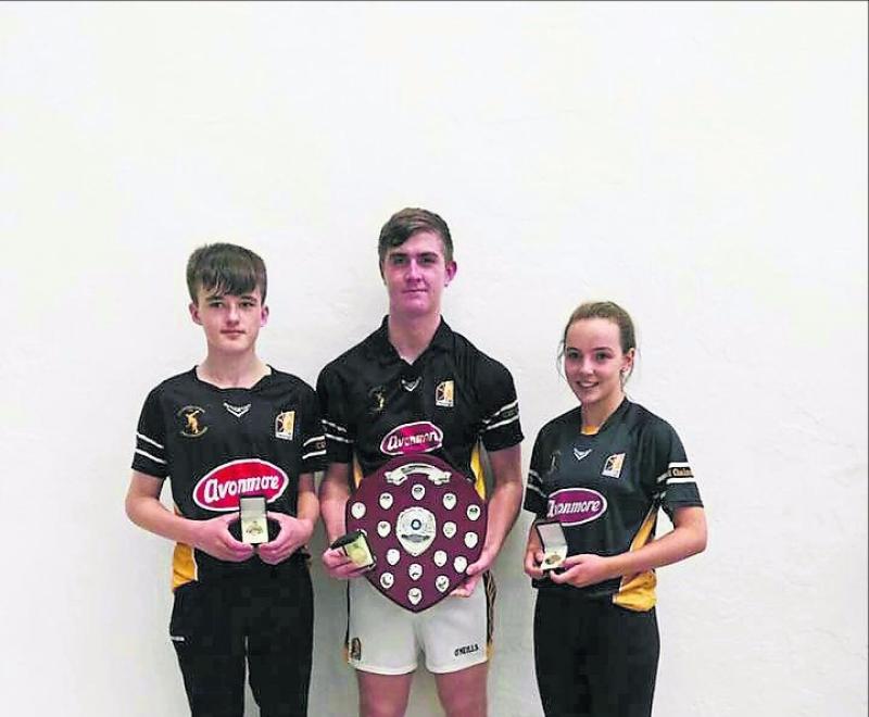 Kilkenny handball: The titles roll in