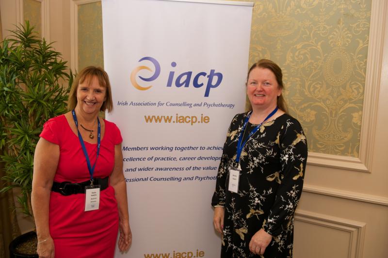 Strategic plan launched at Kilkenny conference