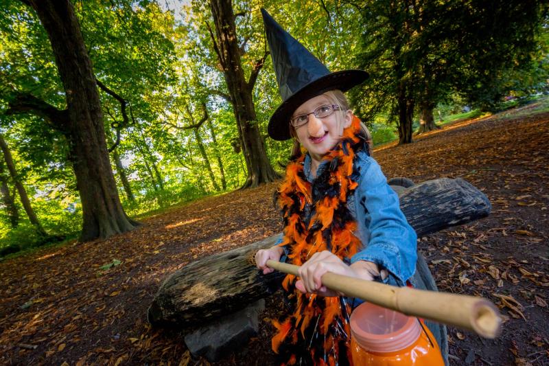 Moody Monster Trails at Castlecomer Discovery Park