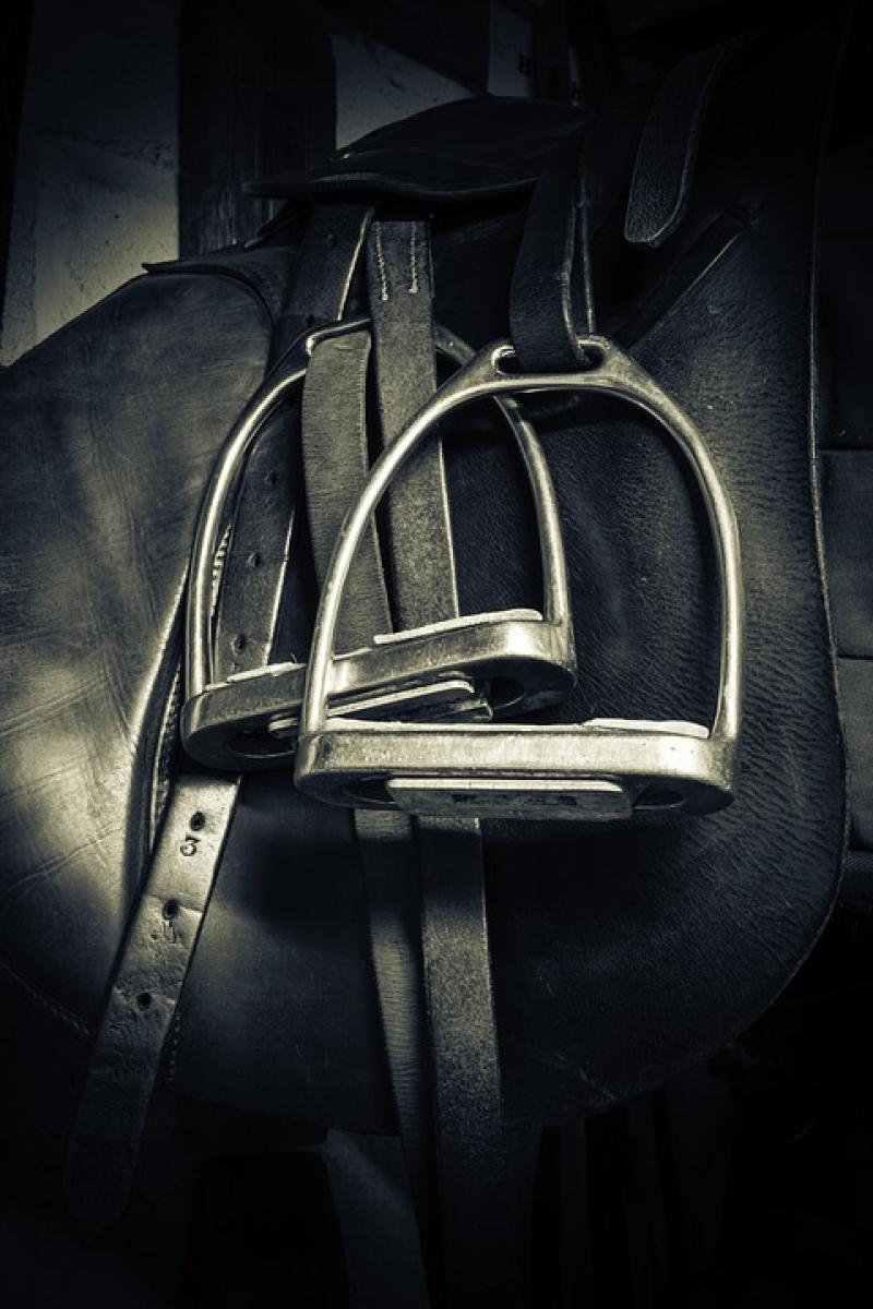 Equestrian equipment  stolen from Kilkenny property