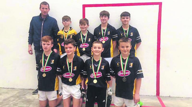 Kilkenny handball: Team of six is No. 1