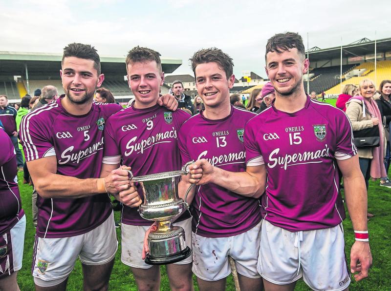 Leinster club hurling: Barry Staunton will be huge loss to St Patrick's