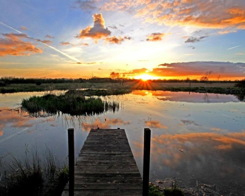 Birdwatch Ireland outing to Cabragh Wetlands