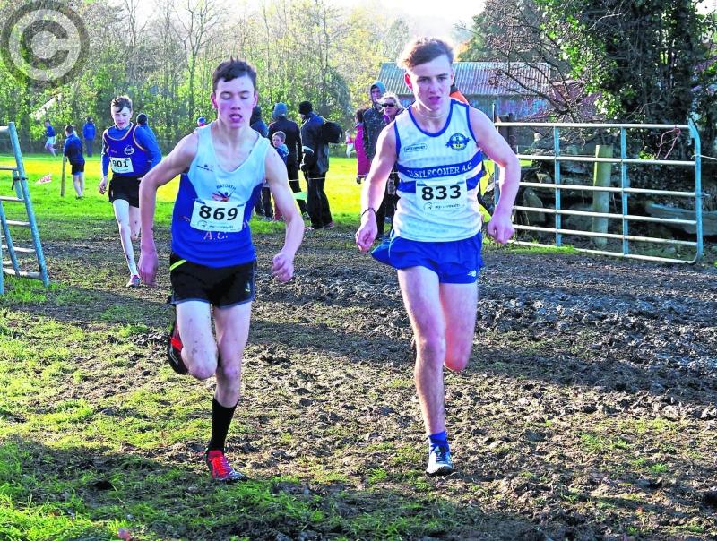 Leinster athletics: Cats take their share of honours