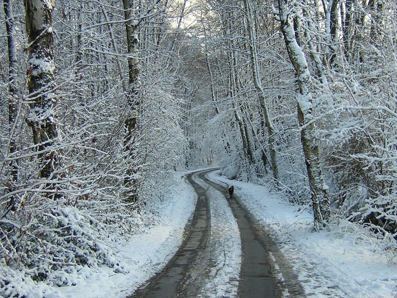 Snow and ice warning issued for Longford and seven other counties