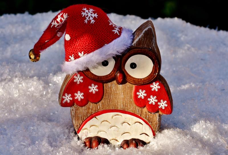Stop here for Christmas in Offaly