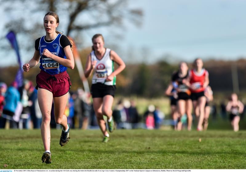 Kilkenny athletics: The Cats roar at All-Irelands