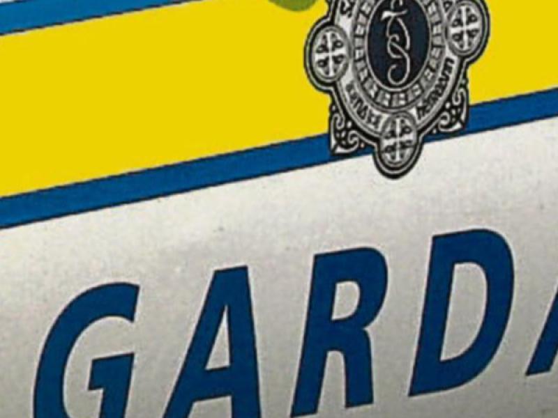 Bogus callers impersonate gardaí in South Kilkenny hoax