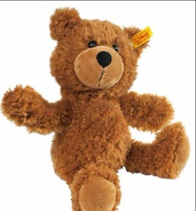 Kind-hearted Kilkenny girls seeks return of teddy bear