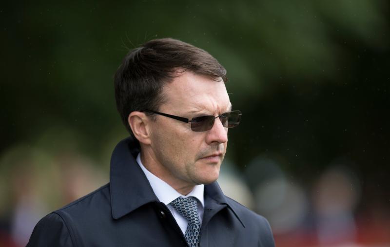 Horse racing: O'Briens' take top honours