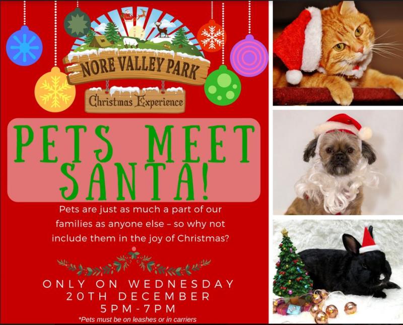 Pets meet Santa