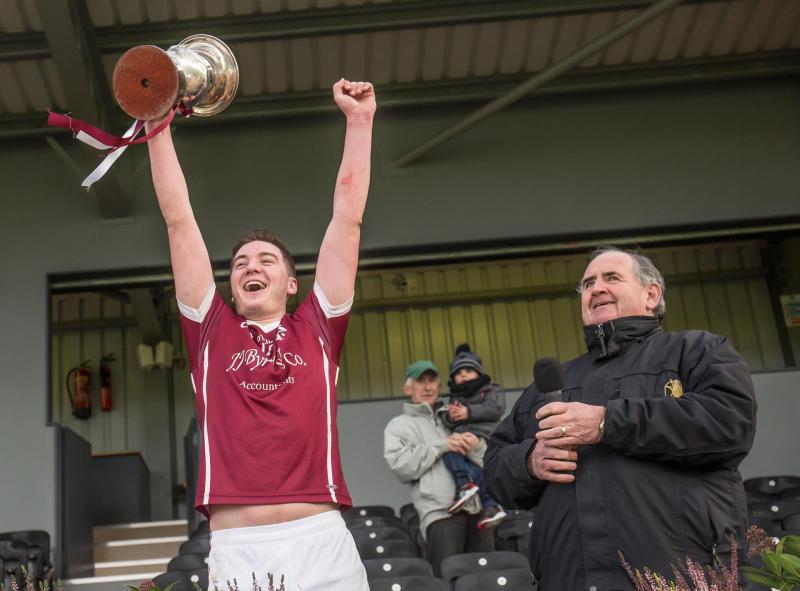 Kilkenny hurling: Clara finish well to take the last title of 2017